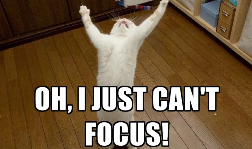 Dalginliktan Derinlige Bir Yolculuk Odak Suresi Nasil Artirilir V2