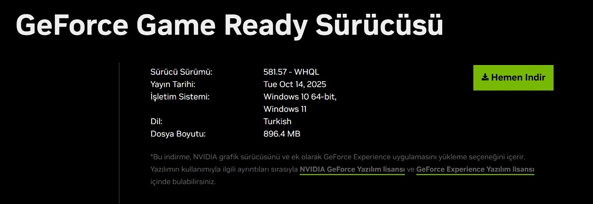 NVIDIA 2
