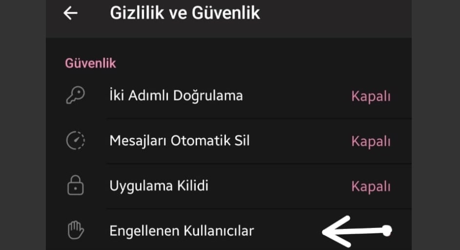 Telegram Engeli Nasil Kaldirilir V2