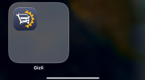 gizli