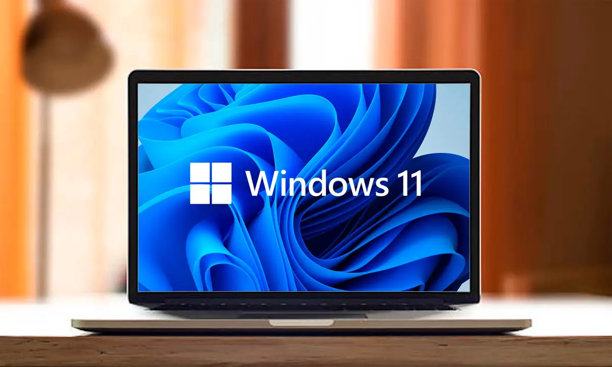 internetsiz Windows 11