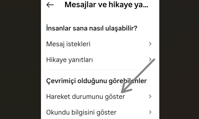 Instagram Aktiflik Nasil Kapatilir