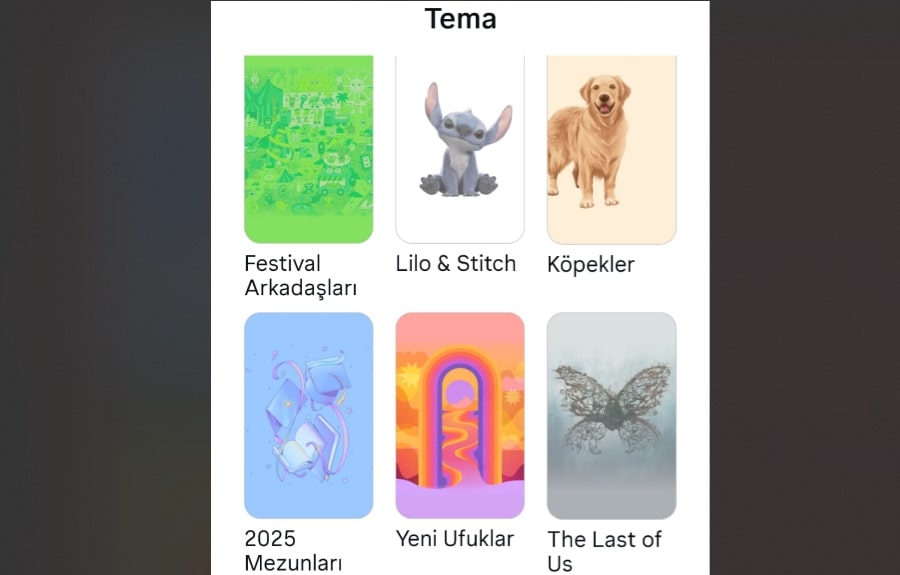 Instagram Sohbet Temasi Nasil Degistirilir V